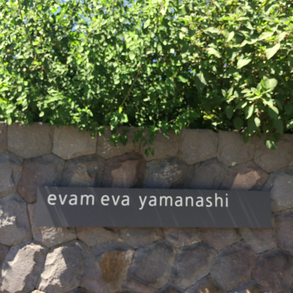 evam eva yamanashi