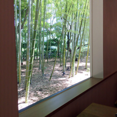 evam eva yamanashiのレストラン「味」窓から見える竹林