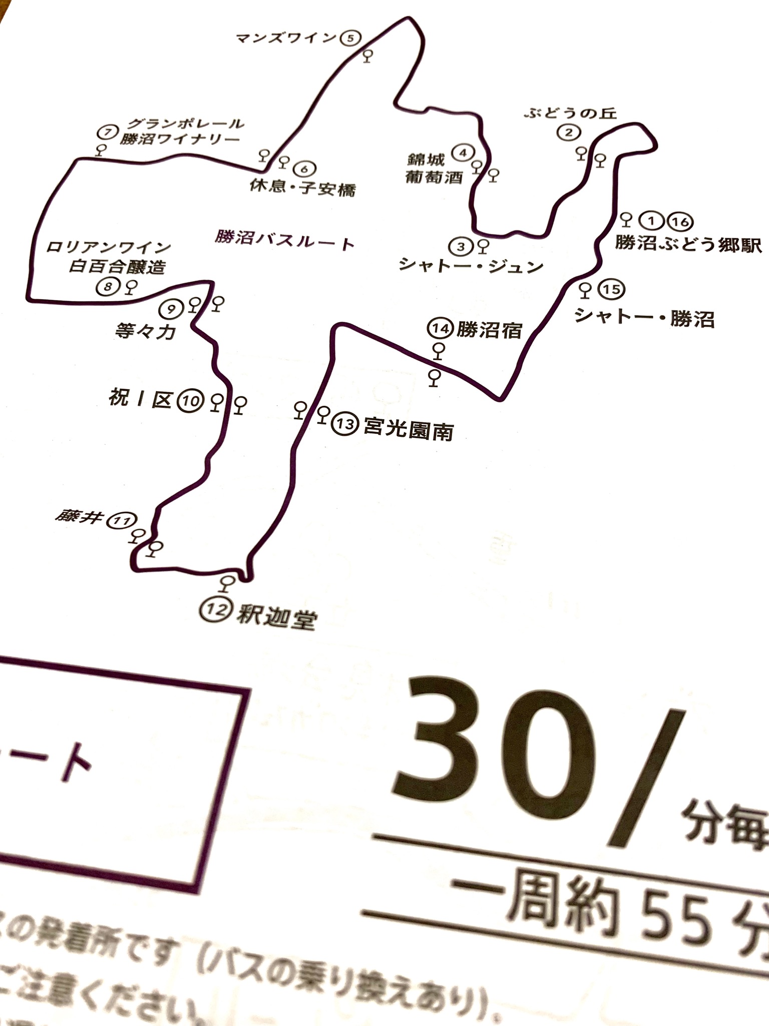 日本ワイン ワインツーリズムやまなし19 初夏の勝沼でプライスレスなワイン体験 無印良品と整理収納 ときどき日本ワイン