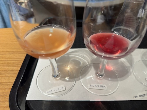 おんみつわいんず2種の試飲