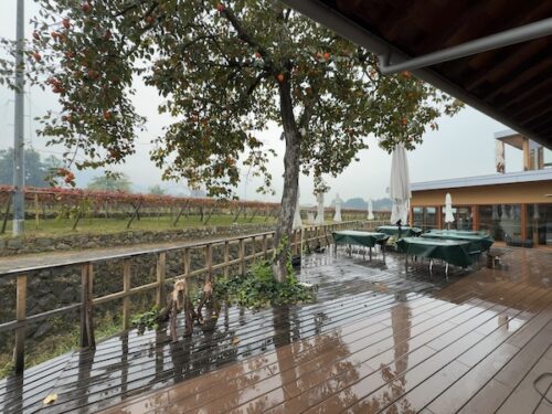 勝沼醸造の地上テラス