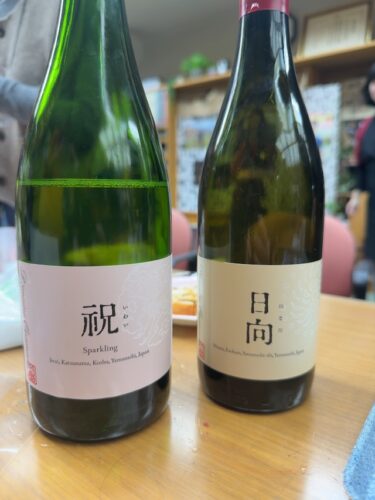 祝 スパークリング
日向